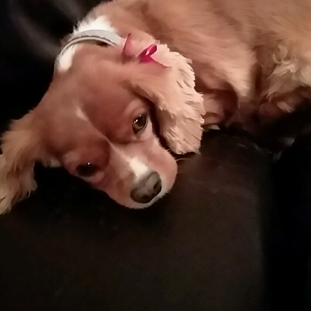 Meet your Posher, Andrea